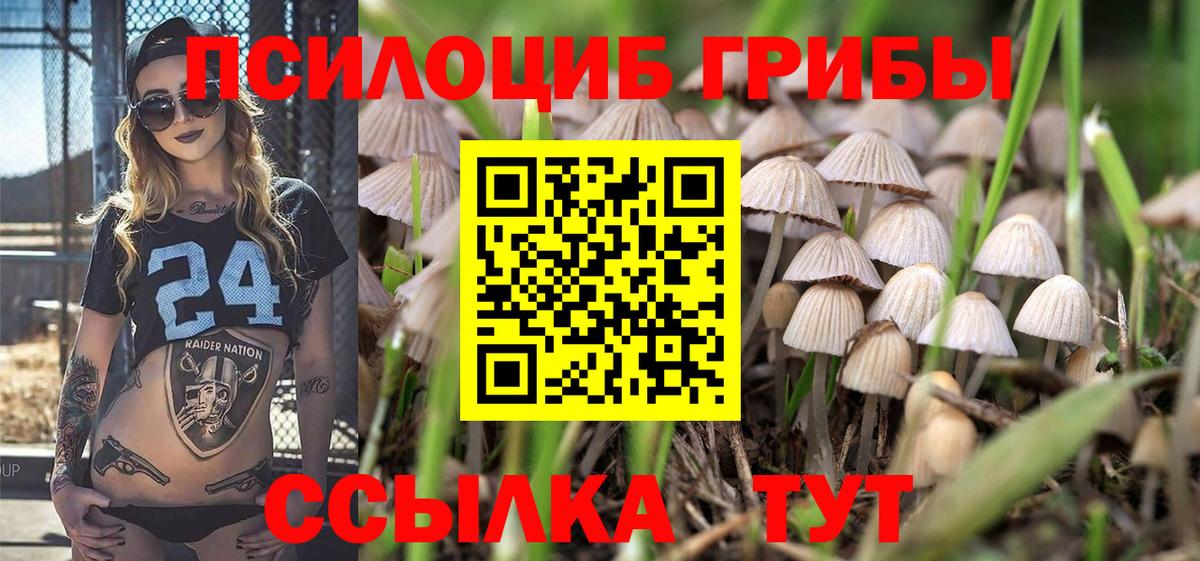 Псилоцибиновые грибы мухоморы  Псилоцибиновые грибы MAGIC MUSHROOMS  Всеволожск  Вход с VPN 